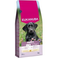 EUKANUBA Trockenfutter Hund, Welpe, groß, Huhn 15 kg EUKANUBA Trockenfutter Hund, Welpe, groß, Huhn 15 kg von EUKANUBA
