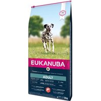 EUKANUBA Trockenfutter Hund Large Breed Adult, mit Lachs & Gerste 12 kg EUKANUBA Trockenfutter Hund Large Breed Adult, mit Lachs & Gerste 12 kg von EUKANUBA