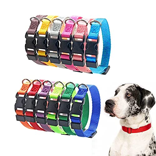 Hundehalsband Welpen-Identifikations-Halsband verstellbar Nylon Hunde Halsband für kleine Hunde und Katzen, 12 Stück von EUNEWR