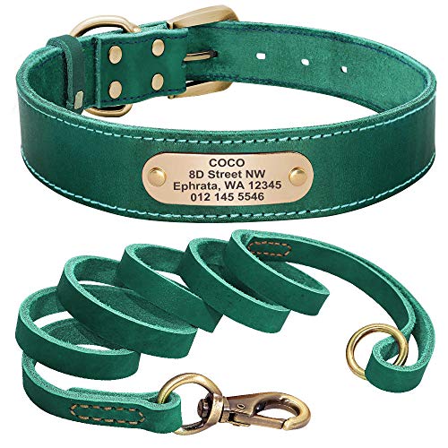 EUSFIYY Custom Leder Hundehalsband Leine Set Personalisierte Haustier Halsband Leine Graviertes Typenschild für mittelgroße Hunde-Green_Set_XL von EUSFIYY