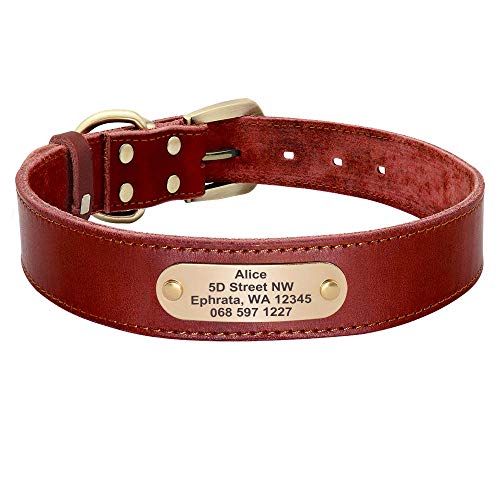 EUSFIYY Custom Leder Hundehalsband Leine Set Personalisierte Haustier Halsband Leine   Graviertes Typenschild für mittelgroße Hunde-Red_Collar_XL von EUSFIYY