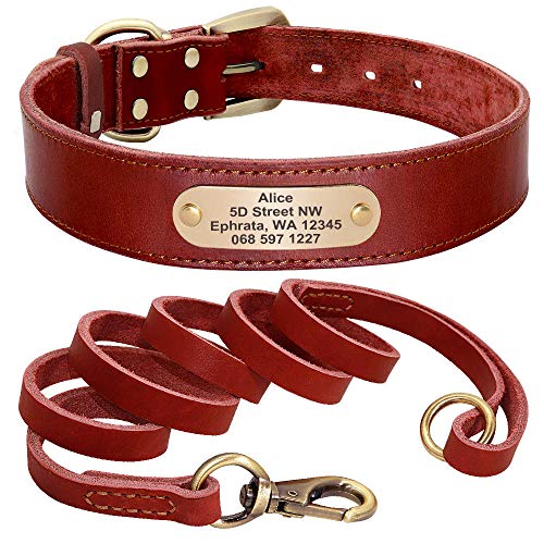 EUSFIYY Custom Leder Hundehalsband Leine Set Personalisierte Haustier Halsband Leine Graviertes Typenschild für mittelgroße Hunde-Red_Set_L von EUSFIYY