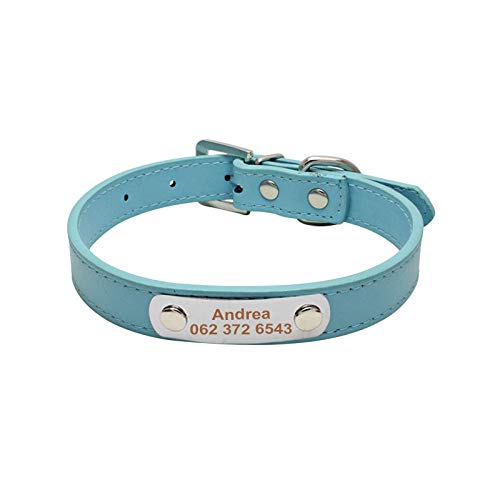 EUSFIYY Großes, langlebiges, personalisiertes Hundehalsband PU-Leder gepolsterte Haustier-ID-Halsbänder, angepasst für kleine, mittelgroße, große Hunde Cat -Blue_M von EUSFIYY