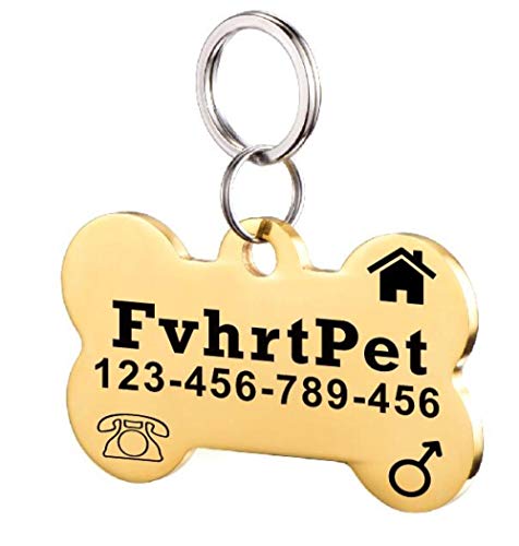 EUSFIYY Namensschild Hundemarke Hundemarke Edelstahl für kleine Katze personalisierte personalisierte Tiername ID-Tag für das Haustier Welpen Kätzchen-Tags-Knochen-Gold-L von EUSFIYY