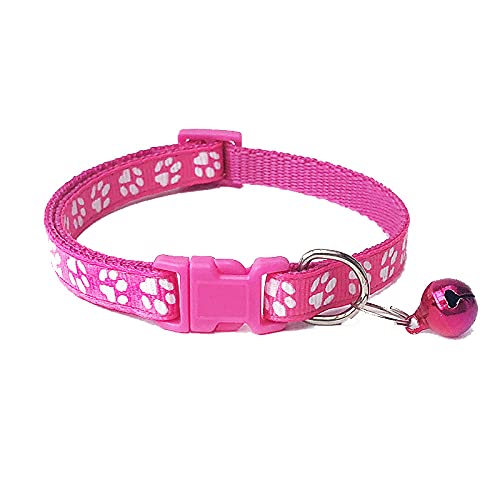 EUSFIYY Nylon Hundehalsband Personalisierte Benutzerdefinierte ID Katzenhalsband Name Welpenhalsband Für Hund Anti-Lost Pet Collar -Fushia von EUSFIYY