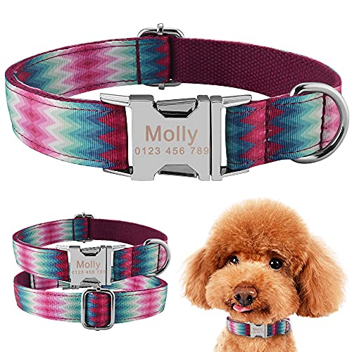 EUSFIYY Personalisiertes Hunde -Nylonhalsband Gravierter Kosename Klein Mittel XS-S (26-40 cm) _ von EUSFIYY