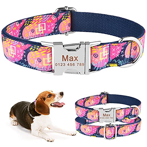 EUSFIYY Personalisiertes Hundehalsband Nylon Verstellbarer gravierter Name Kleines großes Haustier-XS (21-31 cm) _ von EUSFIYY