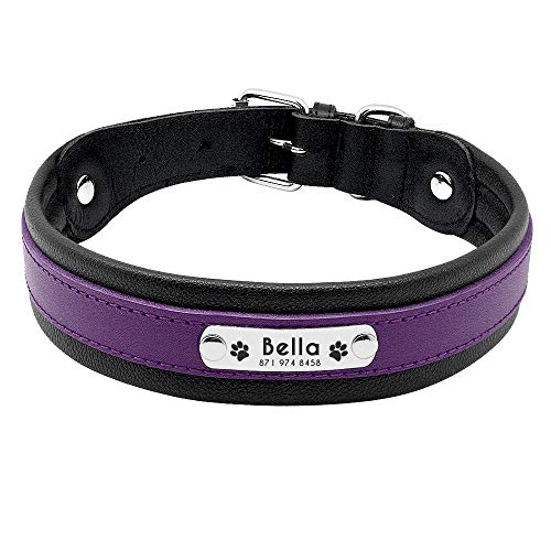 EUSFIYY TypePersonalized Hundehalsband Leder Customized Engraved Pet Big Dog Bulldog Halsbänder Gepolstert für kleine mittelgroße Hunde -Purple_L von EUSFIYY