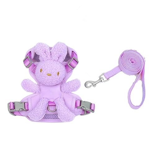 Haustierweste, solides Hundegeschirr und Leinen-Set, Taschenbär, reflektierende Haustierkleidung für Chihuahua, Yorkie, Spaziertraining (lila S, 1,5_4 kg) von EUTYRG