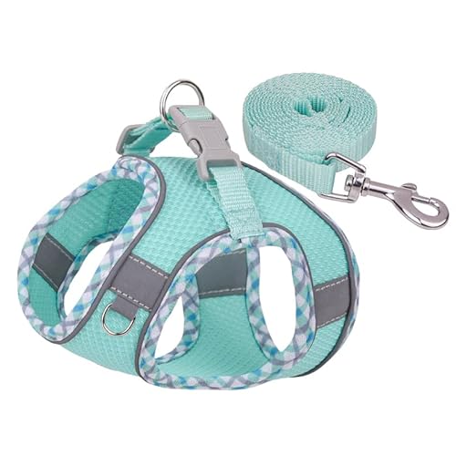Hunde- und Katzengeschirr, Weste, Brustseil-Set, reflektierend, atmungsaktiv, verstellbar, Haustiergeschirr für kleine und mittelgroße Hunde, Welpen, Outdoor (grün, S, 3,5_5 kg) von EUTYRG