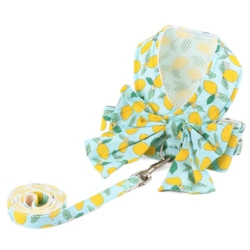 Hundegeschirr, atmungsaktives Hundegeschirr und Leinen-Set, geblümte Schleife, Katzenkleidung für kleine und mittelgroße Hunde, Weste, Leinen (Fruchtgrün M 4_5kg) von EUTYRG