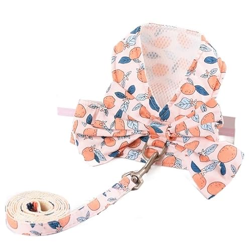 Hundegeschirr, atmungsaktives Hundegeschirr und Leinen-Set, geblümte Schleife, Katzenkleidung für kleine und mittelgroße Hunde, Weste, Leinen (Fruchtpulver XS 1,5_2,5 kg) von EUTYRG