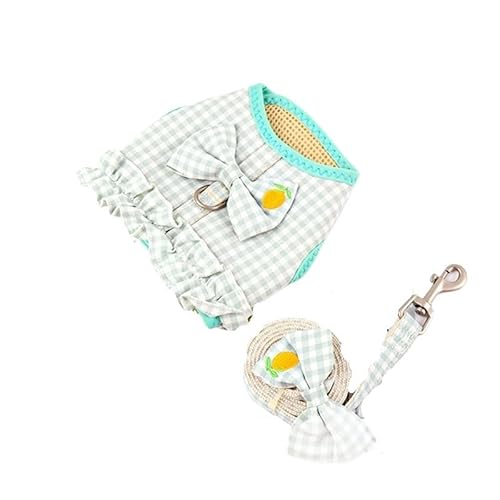 Hundegeschirr, süßes Hundegeschirr- und Leinen-Set, Rucksack, kariert, mit Schmetterlingsmuster, atmungsaktives Netzgewebe, Haustiergeschirr, Katzenweste, Hund (Grün, XS, 1,5 kg oder weniger) von EUTYRG