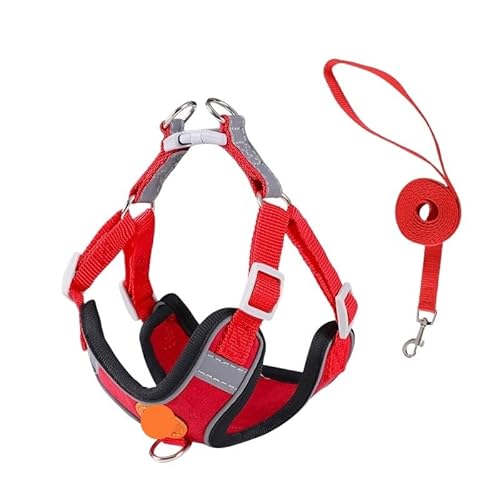 Hundegeschirr, verstellbar, kein Ziehen, süßes Katzengeschirr, weiches Laufleinen-Set, Haustier-Hundeweste, Weste, Teddy, Beagle geeignet (Rot 1 XXS) von EUTYRG