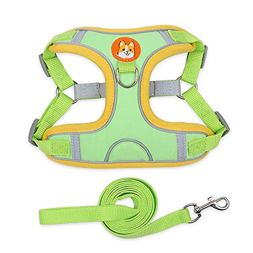 Hundegeschirr-Leinen-Set für Haustiere, reflektierend, verstellbar, Welpengeschirr, für draußen, zum Spazierengehen und Laufen, Weste, Geschirr (grün, Mfür 3,5_6,5 kg) von EUTYRG