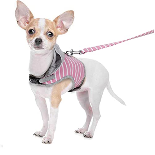 Pullover für Haustiere, Hundegeschirr, Katzensachen, Katzenbekleidung, gestreiftes Muster, Katzengeschirr und Leine, Hundeleine, Zuggurt D (Rosa S) von EUTYRG