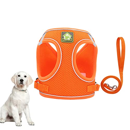Set reflektierender Welpengurt für kleine Hunde, Netz-Hundeweste, Haustier-Katzenweste, Leine, Welpenreflektorweste, Haustierweste, Westenstil (AS) von EUTYRG