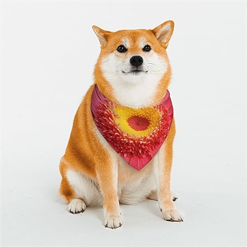 Evanem Dreieckige Hundehalstücher aus weicher Baumwolle, verstellbar, Motiv: Blume, Gerbera, Welpen, Katzen, für kleine und große Rassen Evanem Dreieckige Hundehalstücher aus weicher Baumwolle, verstellbar, Motiv: Blume, Gerbera, Welpen, Katzen, für kleine und große Rassen von EVANEM