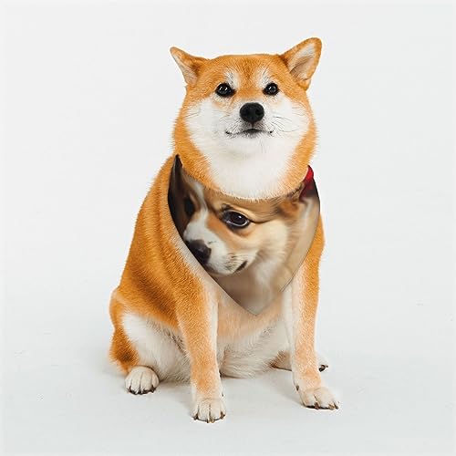 Evanem Dreieckige Hundehalstücher aus weicher Baumwolle, verstellbar, niedlich, Corgi, Welpen, Katzen, Schals für kleine und große Rassen Evanem Dreieckige Hundehalstücher aus weicher Baumwolle, verstellbar, niedlich, Corgi, Welpen, Katzen, Schals für kleine und große Rassen von EVANEM