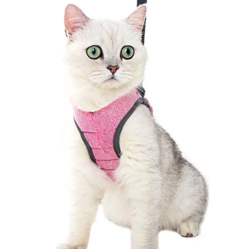 Katzengeschirr und Leine Ultraleicht für Fluchtschutz Verstellbarer weicher Netzschritt in gepolsterter Polsterung Laufweste Jacke für Kätzchen Haustiere Welpe Rosa Katzengeschirr und Leine Ultraleicht für Fluchtschutz Verstellbarer weicher Netzschritt in gepolsterter Polsterung Laufweste Jacke für Kätzchen Haustiere Welpe Rosa von LIANZIMAU