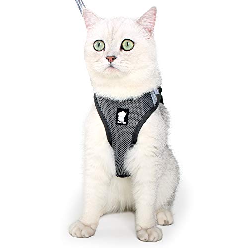 Katzengeschirr und Leine Ultraleicht für Fluchtschutz Verstellbarer weicher Netzschritt in gepolsterter Polsterung Laufweste Jacke für Kätzchen Haustiere Welpe Katzengeschirr und Leine Ultraleicht für Fluchtschutz Verstellbarer weicher Netzschritt in gepolsterter Polsterung Laufweste Jacke für Kätzchen Haustiere Welpe von LIANZIMAU