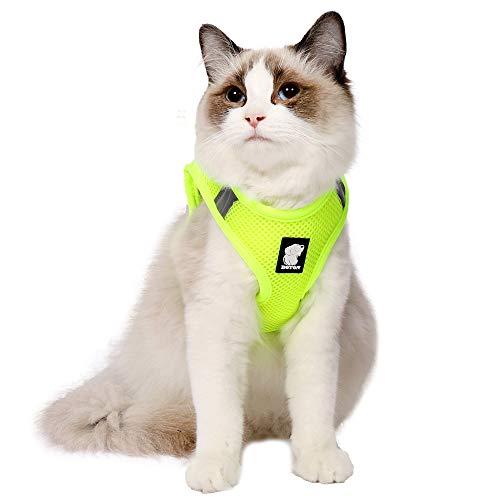 Katzengeschirr und Leine Ultraleicht für Fluchtschutz Verstellbarer weicher Netzschritt in gepolsterter Polsterung Laufweste Jacke für Kätzchen Haustiere Welpe Katzengeschirr und Leine Ultraleicht für Fluchtschutz Verstellbarer weicher Netzschritt in gepolsterter Polsterung Laufweste Jacke für Kätzchen Haustiere Welpe von LIANZIMAU