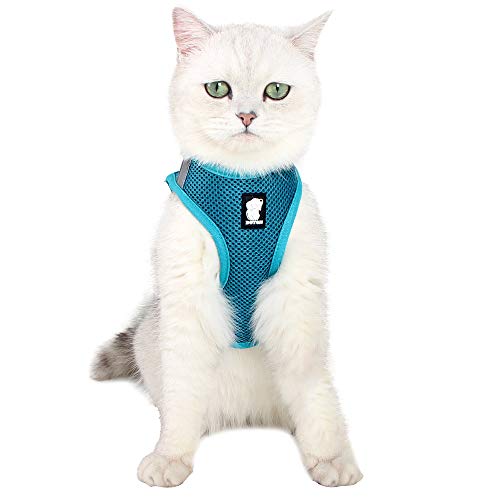 Katzengeschirr und Leine Ultraleicht für Fluchtschutz Verstellbarer weicher Netzschritt in gepolsterter Polsterung Laufweste Jacke für Kätzchen Haustiere Welpe Türkis Katzengeschirr und Leine Ultraleicht für Fluchtschutz Verstellbarer weicher Netzschritt in gepolsterter Polsterung Laufweste Jacke für Kätzchen Haustiere Welpe Türkis von LIANZIMAU