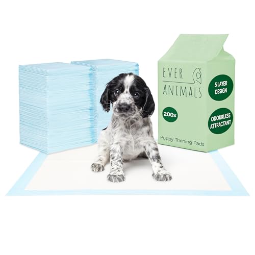 EVERANIMALS 200 Welpenunterlagen 60x60 cm - mit geruchsfreien Lockstoffen für spielend leichte Welpenerziehung, extra saugstarke Welpen Unterlage, auslaufsicher, 5-lagig EVERANIMALS 200 Welpenunterlagen 60x60 cm - mit geruchsfreien Lockstoffen für spielend leichte Welpenerziehung, extra saugstarke Welpen Unterlage, auslaufsicher, 5-lagig von EVERANIMALS