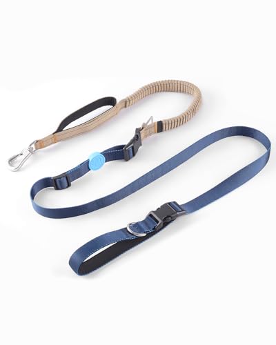 EVERKING 6-in-1 Hundeleine mit Bauchgurt – Freihandleine & Joggingleine für kleine & große Hunde – mit 2 Griffen, Anti-Schock-Feder, Auto-Gurt – Schleppleine & Geschirr-Alternative (Blau、Grau) von EVERKING