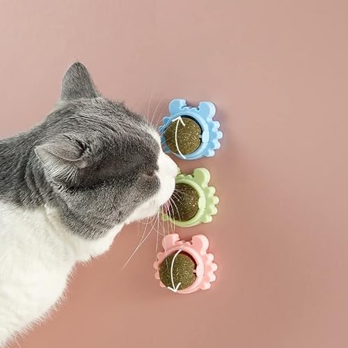 EVITASHOP Essbarer Spielzeugball mit Katzenminze von EVITASHOP