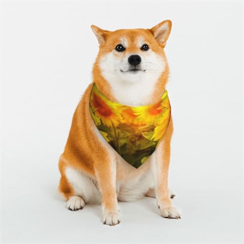 Hundehalstuch, Motiv: Sonnenblume, Felddruck, waschbar, Lätzchen, Schal, Haustier, Hundehalstuch, klassisch, bedruckt, waschbar, Hundehandtuch, Schal für Hunde und Katzen Hundehalstuch, Motiv: Sonnenblume, Felddruck, waschbar, Lätzchen, Schal, Haustier, Hundehalstuch, klassisch, bedruckt, waschbar, Hundehandtuch, Schal für Hunde und Katzen von EVIUS