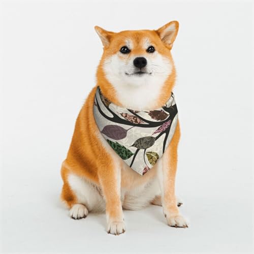 Hundehalstuch, Motiv: Vögel auf Ästen, waschbar, Lätzchen, Schal, Haustier, Hund, Halstuch, klassisch, bedruckt, waschbar, Hundehandtuch, Schal für Hunde und Katzen Hundehalstuch, Motiv: Vögel auf Ästen, waschbar, Lätzchen, Schal, Haustier, Hund, Halstuch, klassisch, bedruckt, waschbar, Hundehandtuch, Schal für Hunde und Katzen von EVIUS