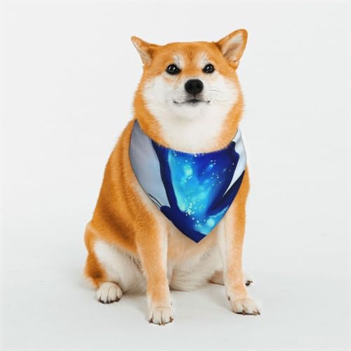 Hundehalstuch, Motiv: blauer Schmetterlings-Druck, waschbar, Lätzchen, Schal, Haustier, Hund, Halstuch, klassischer Druck, waschbar, Hundehandtuch, Schal für Hunde und Katzen Hundehalstuch, Motiv: blauer Schmetterlings-Druck, waschbar, Lätzchen, Schal, Haustier, Hund, Halstuch, klassischer Druck, waschbar, Hundehandtuch, Schal für Hunde und Katzen von EVIUS