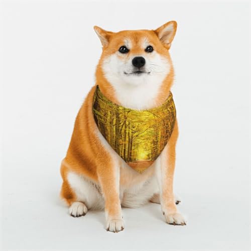 Hundehalstücher mit Pathway-Aufdruck, waschbar, Lätzchen, Schal, Haustier, Hund, Halstuch, klassischer Druck, waschbar, Hundehandtuch, Schal für Hunde und Katzen Hundehalstücher mit Pathway-Aufdruck, waschbar, Lätzchen, Schal, Haustier, Hund, Halstuch, klassischer Druck, waschbar, Hundehandtuch, Schal für Hunde und Katzen von EVIUS