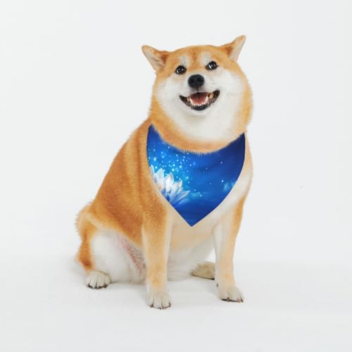 Klassische Drucke und waschbare Schals für stilvolle Hunde und Katzen, personalisierbare Hundehalstücher – stilvoller Haustierschal für mittelgroße bis große Hunde Klassische Drucke und waschbare Schals für stilvolle Hunde und Katzen, personalisierbare Hundehalstücher – stilvoller Haustierschal für mittelgroße bis große Hunde von EVIUS