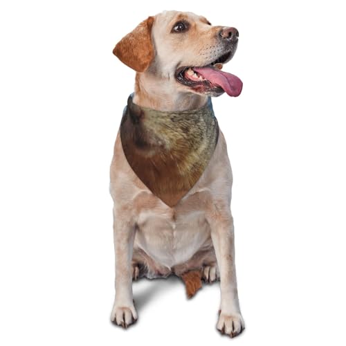 Machen Sie Ihr Haustier zu einem Blickfang mit einem stilvollen Hundeschal und Katzen-Bandana, Maus-Haustier-Schal, klassischer Druck, sabbernder Schal, Haustier-Urlaubszubehör, Dekoration, waschbares Machen Sie Ihr Haustier zu einem Blickfang mit einem stilvollen Hundeschal und Katzen-Bandana, Maus-Haustier-Schal, klassischer Druck, sabbernder Schal, Haustier-Urlaubszubehör, Dekoration, waschbares von EVIUS