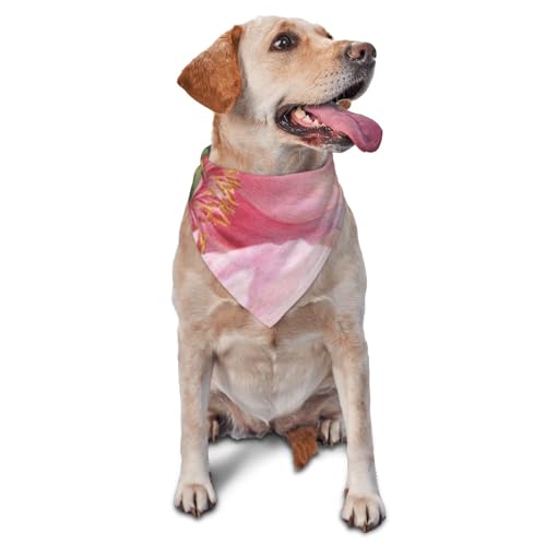 Modische Hundehalstücher – wendbares Dreieck-Lätzchen für mittelgroße bis große Hunde, leicht, verstellbare Haustier-Schals für den Innen- und Außenbereich Modische Hundehalstücher – wendbares Dreieck-Lätzchen für mittelgroße bis große Hunde, leicht, verstellbare Haustier-Schals für den Innen- und Außenbereich von EVIUS