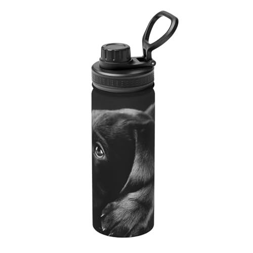 Tragbare Wasserflasche, für Reisen, Camping, isolierte Teetasse, 530 ml, für Fahrräder, Fitness, Yoga, Wandern usw., Blaugrün und Schwarz von EVIUS