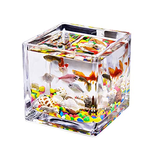 Aquarium/Aquarien Desktop-Quadrat Transparentes Glas Mini-Büro-Haushalts-Fisch-Tank-Wasser-Gras-Panzer Betta-Fisch-Zierfisch Kleiner Fisch-Tank Desktop-Aquarium (Size : 3.94IN) von EVSER