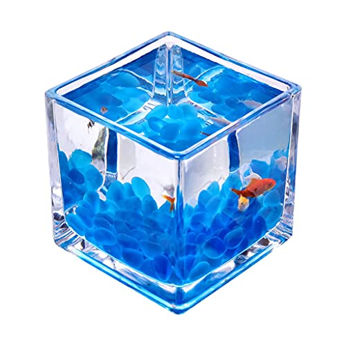 Aquarium/Aquarien Desktop-Quadrat Transparentes Glas Mini Büro Home Kämpfe Fischbehälter Kreative Zierfische Kleine Fische Tank Wasserpflanze Tank Desktop-Aquarium (Size : 5.91IN) von EVSER