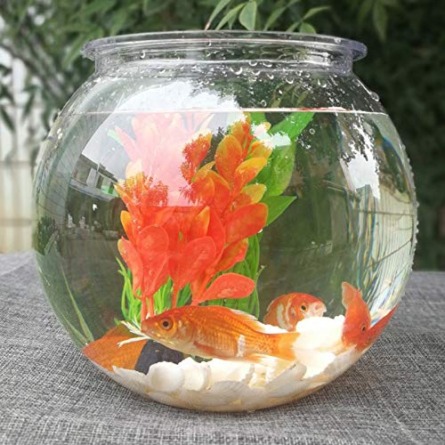 Aquarium/Aquarien Fischtank Wohnzimmer Kleine Schildkröte Gold Fischtank Desktop Kreative Turtle Tank Haushalt Hydroponic Ware Pflanze Blumentopf Container Desktop-Aquarium (Color : Wit, Size : 2.8 von EVSER