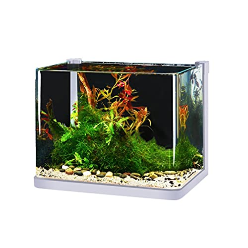 Aquarium/Aquarien Glasfischtank Kleine Gäste Desktop Kreative Aquarium Aquarium Aquatic Tank Landschaftsgestaltung Kampf Fischschildkröten Tank Desktop-Aquarium von EVSER