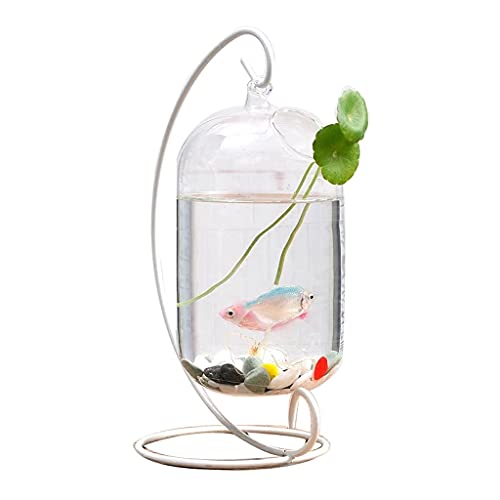 Aquarium/Aquarien Kreativglas transparente Rack-Fischbehälter-Rack Betta-Fisch-Tank-dekorative Fisch-Tankwasser-Pflanzen-Tank-Büro-Haushalt Desktop-Aquarium von EVSER