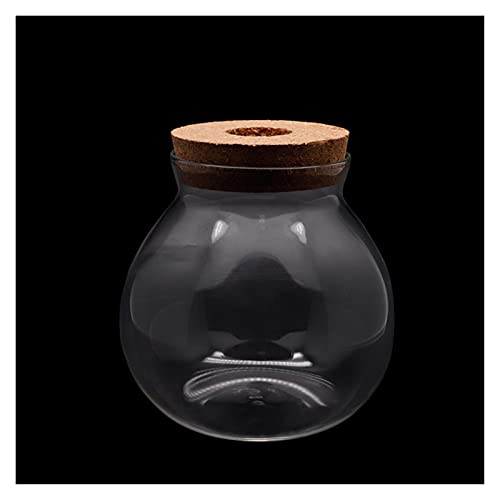 Aquarium/Aquarien Mini Betta Fischtank Ornament Aquarium Pflanzen Dekoration Hintergrund Haustier Zubehör Liefert Landschaft Ökologische Flasche Desktop-Aquarium (Color : Empty Cylinder, Size : 10X1 von EVSER