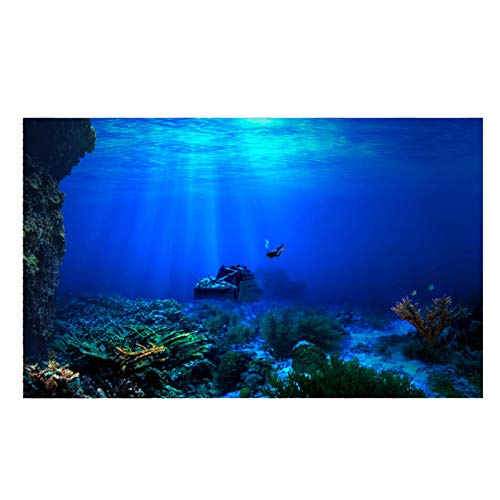 EVTSCAN April Geschenke Aquarium Hintergrund für Tank Dekoration, 3D-Effekt Kleber SeaworTank Hintergrund(122 * 61cm) von EVTSCAN