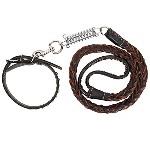 EVTSCAN Hundeleine mit Halsband Anti-Verlust-Leine-Halsbandset für große, mittelgroße Hunde(schwarz) von EVTSCAN