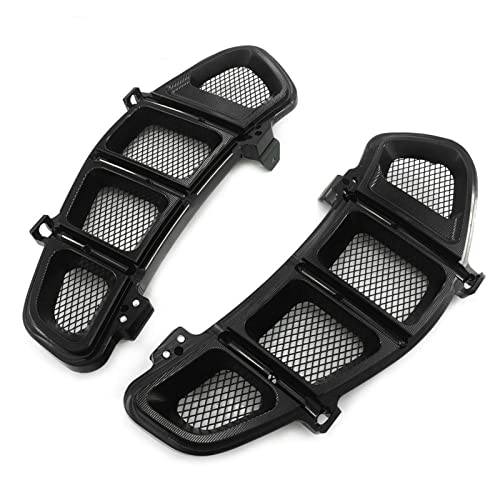 EVURU Motorrad Kühlerschutzabdeckung Für GTS250 für GTS300 2013 2014 2015 2016 2017 2018 2019 2020 Kühlerschutz Abdeckung Wassertank Einfassung Kühlergrill Schutz (Color : Black) von EVURU