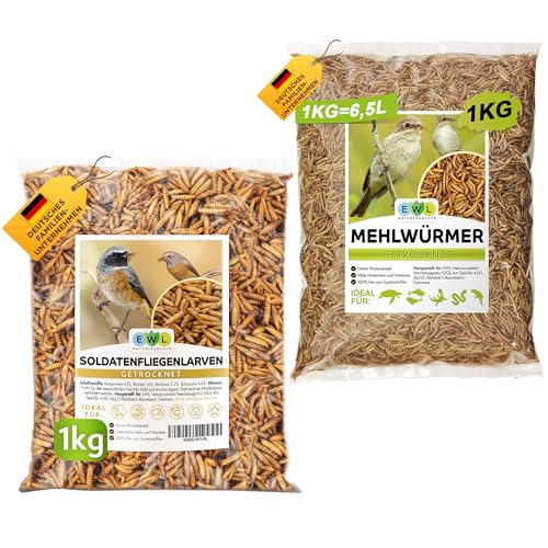 EWL Naturprodukte Mehlwürmer 1kg & Soldatenfliegelarven 1kg getrocknet, Set 2kg für Wildvögel, Fische, Schildkröten, Nager, Reptilien, Igelfutter EWL Naturprodukte Mehlwürmer 1kg & Soldatenfliegelarven 1kg getrocknet, Set 2kg für Wildvögel, Fische, Schildkröten, Nager, Reptilien, Igelfutter von EWL Naturprodukte