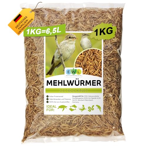 Mehlwürmer getrocknet 1kg = 6500ml Insektensnack für Vögel, Fische, Schildkröten, Nager und Reptilien, Vogelfutter Wildvögel Ganzjährig, Eichhörnchen Futter, Igelfutter von EWL Naturprodukte