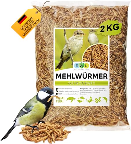 EWL Naturprodukte Mehlwürmer getrocknet 2kg entspricht 13ltr. Insektensnack für Vögel, Fische, Schildkröten, Nager und Reptilien von EWL Naturprodukte